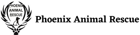 Phoenix animal rescue - Discover the stories and impact of Phoenix Animal Rescue. Stay informed and be part of our mission to change animal lives.